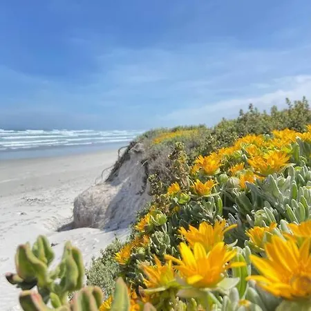 Cozy Holiday Cottage - XX Cottage Yzerfontein Exterior foto